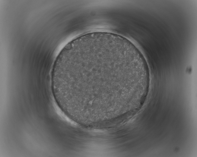 X0000112161341200909181438