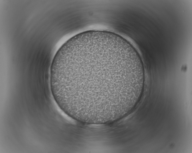 X0000112161343200909181438