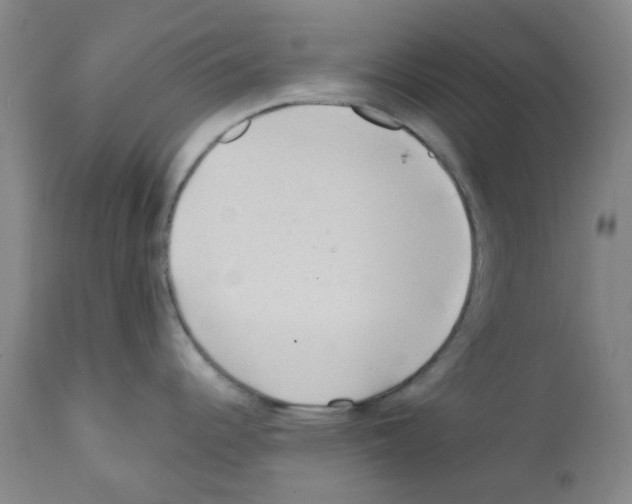 X0000112161344200909181438