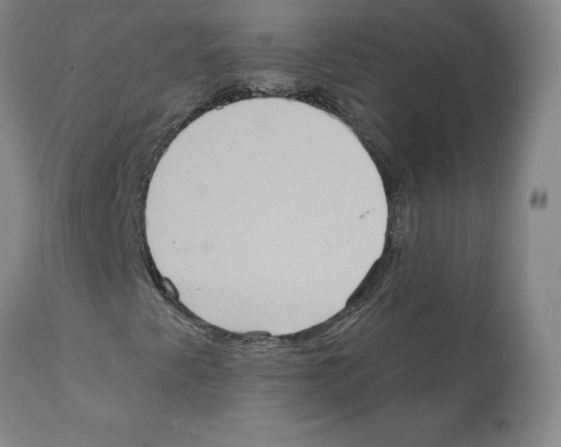 X0000112161345200909181438