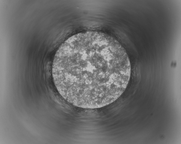X0000112161346200909181438