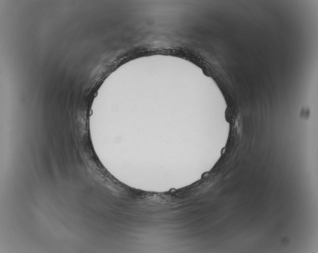 X0000112161348200909181437