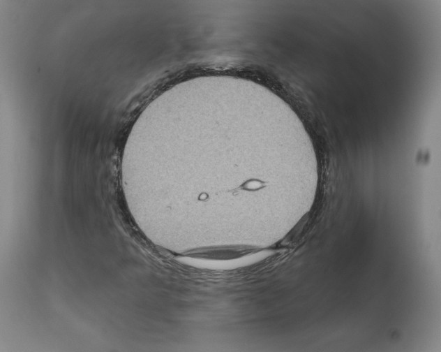 X0000112161349200909181437