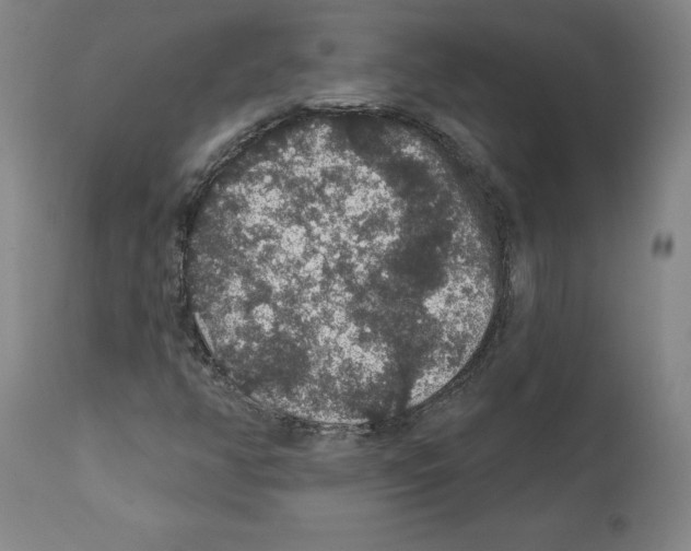 X0000112161350200909181437