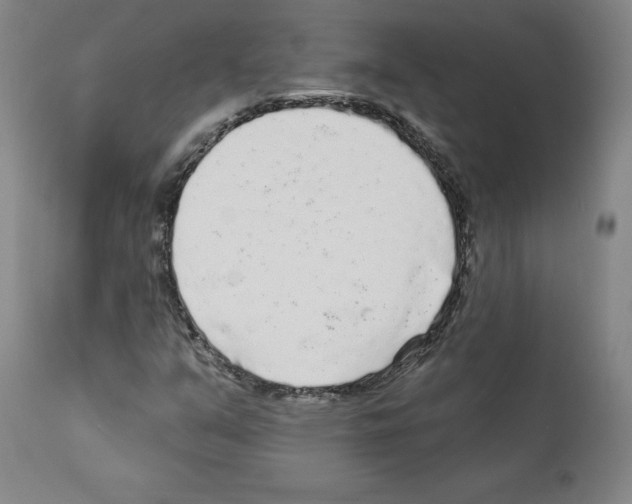 X0000112161351200909181437