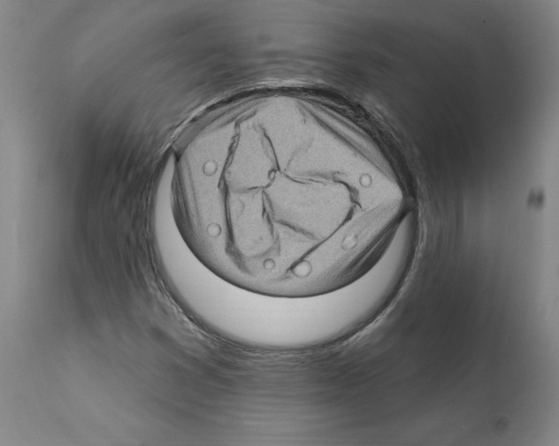 X0000112161353200909181437