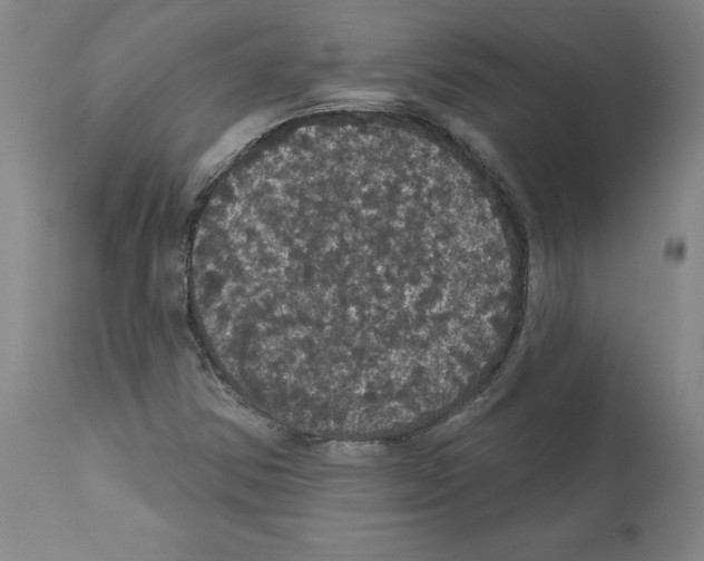 X0000112161354200909181437