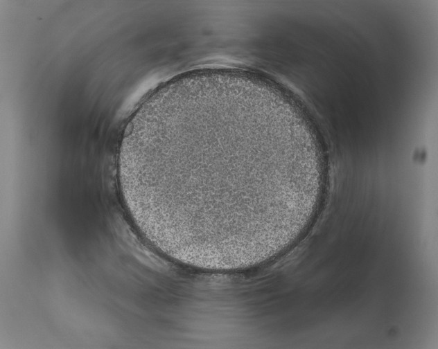X0000112161355200909181437