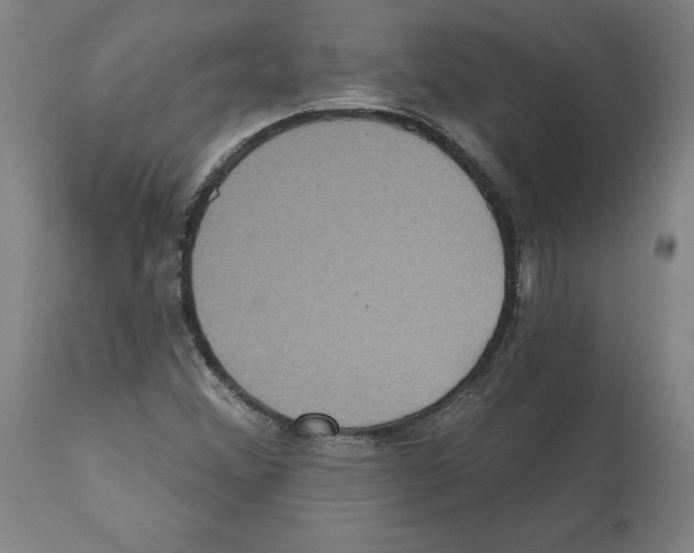 X0000112161356200909181437