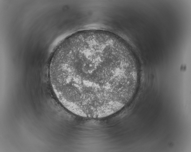 X0000112161358200909181437