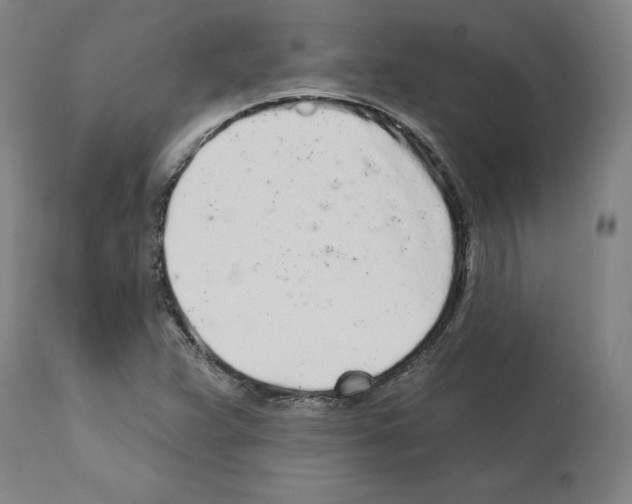 X0000112161359200909181437