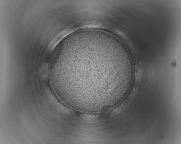 X0000112161361200909181437