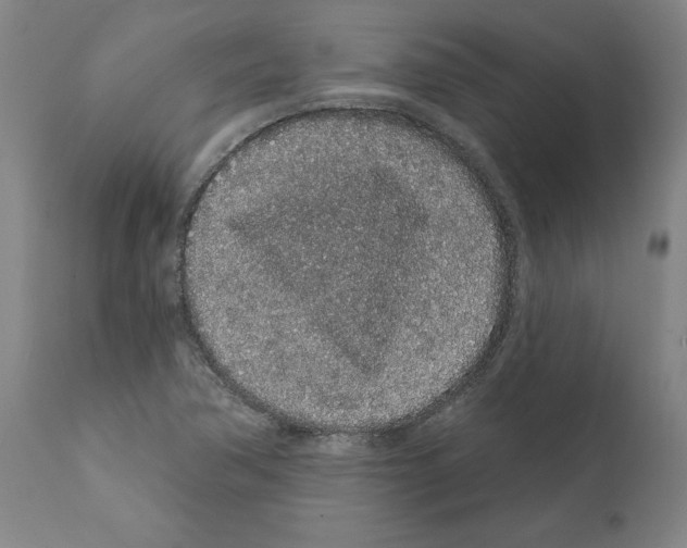 X0000112161362200909181437