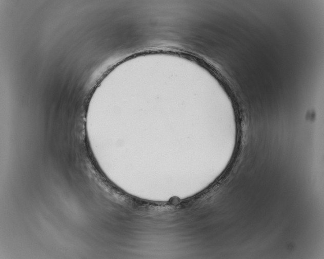 X0000112161363200909181437