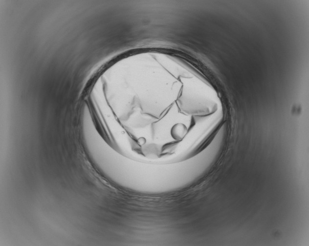 X0000112161364200909181437