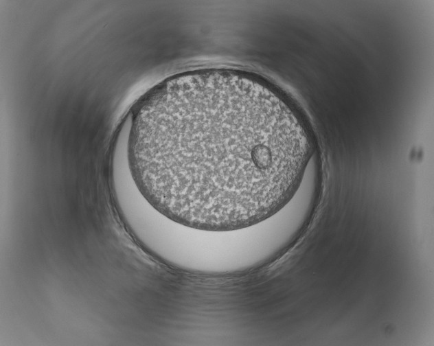 X0000112161365200909181437