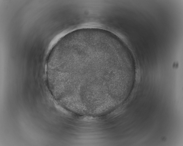 X0000112161366200909181437