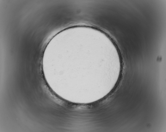 X0000112161367200909181437