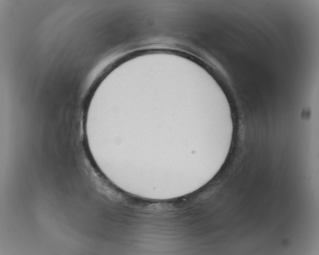 X0000112161368200909181437
