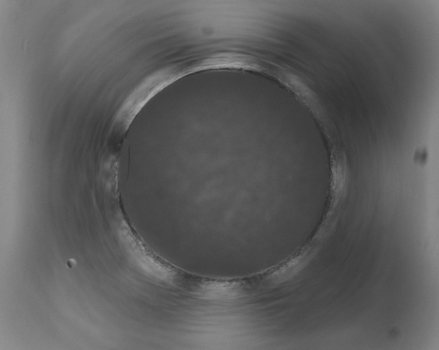 X0000112161369200909181437