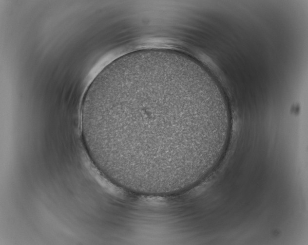 X0000112161370200909181437