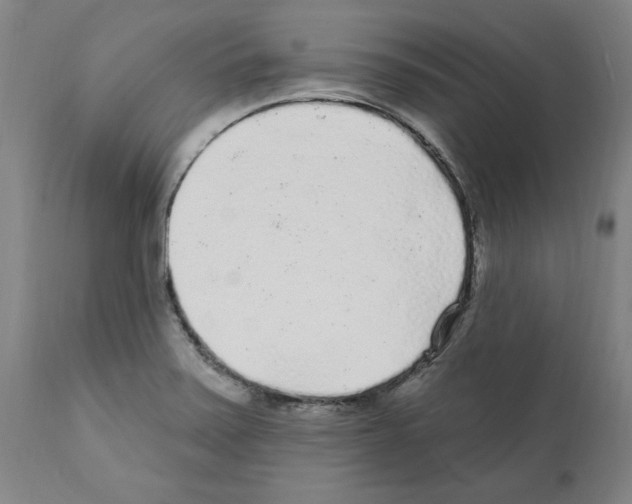 X0000112161371200909181437