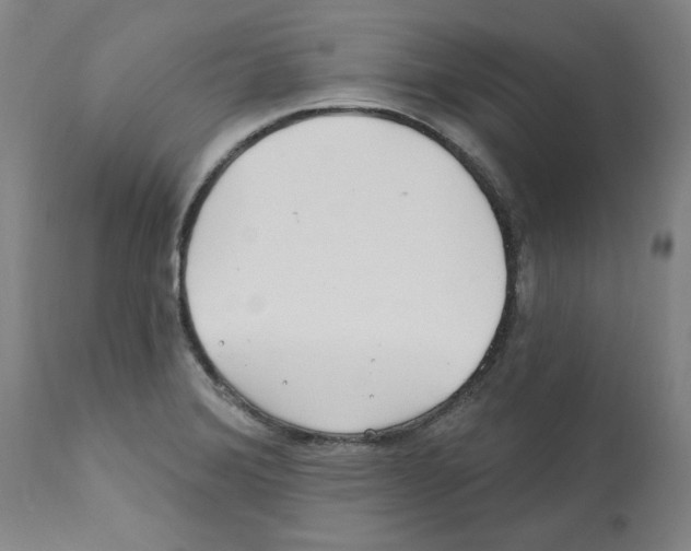 X0000112161372200909181437