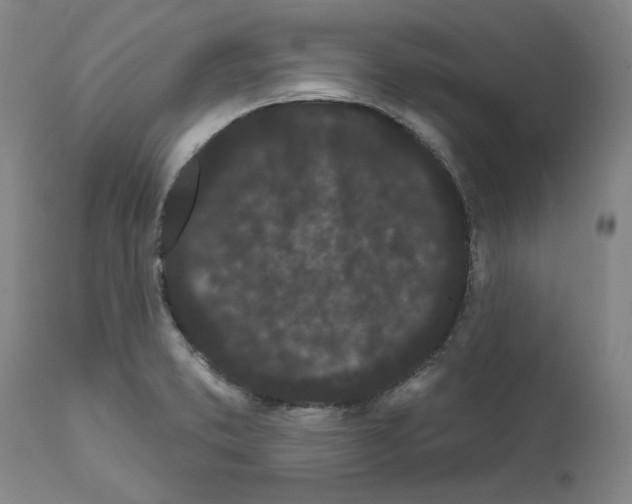 X0000112161373200909181437