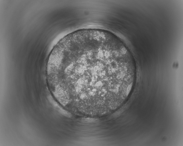 X0000112161374200909181437