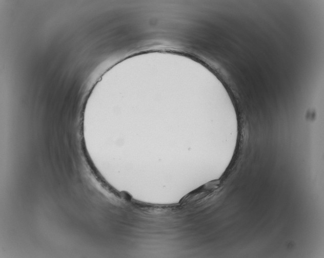 X0000112161375200909181437
