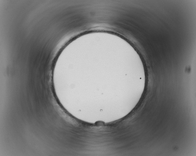 X0000112161376200909181437