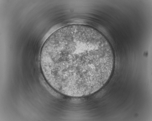 X0000112161378200909181437
