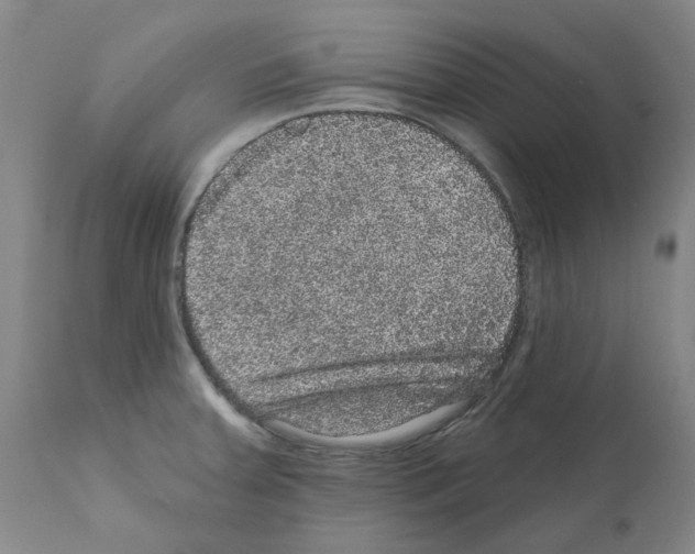 X0000112161379200909181437
