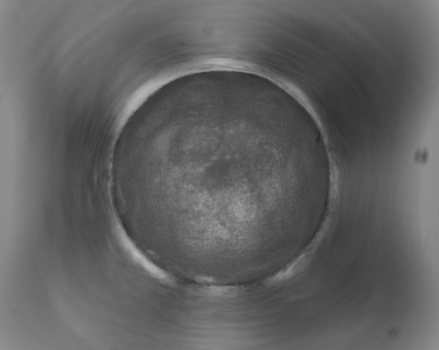 X0000112161381200909181437