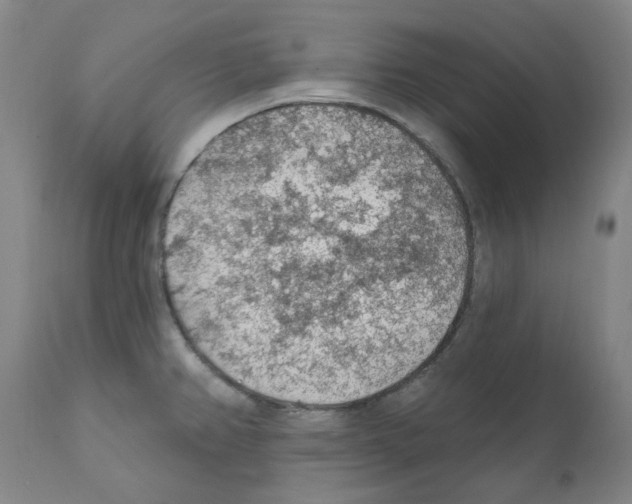 X0000112161382200909181437