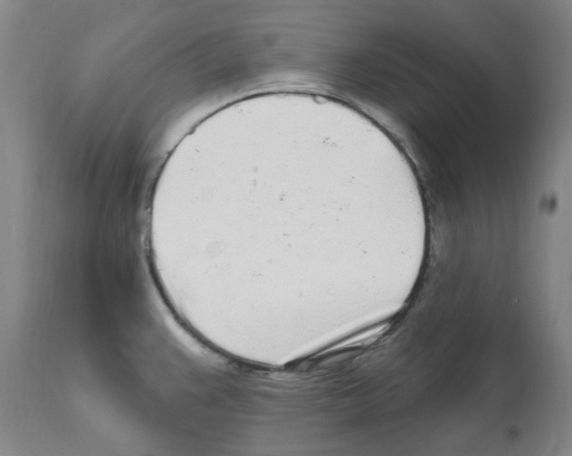 X0000112161383200909181437
