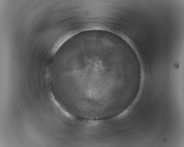 X0000112161385200909181437