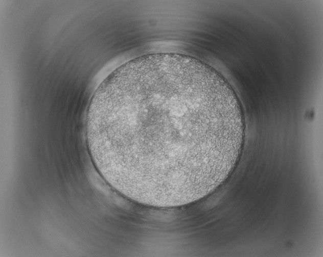 X0000112161386200909181437