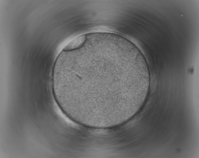 X0000112161387200909181437