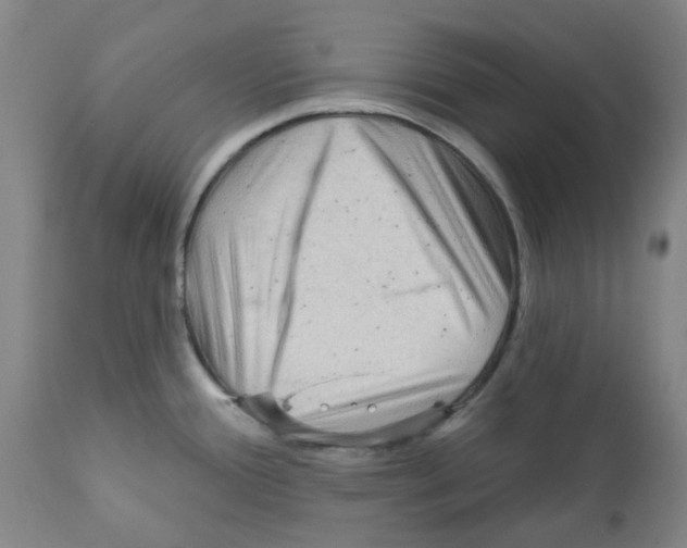 X0000112161388200909181437