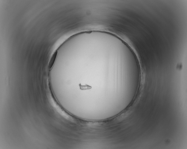 X0000112161389200909181437