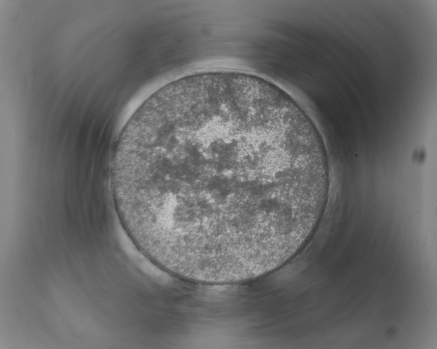 X0000112161390200909181437