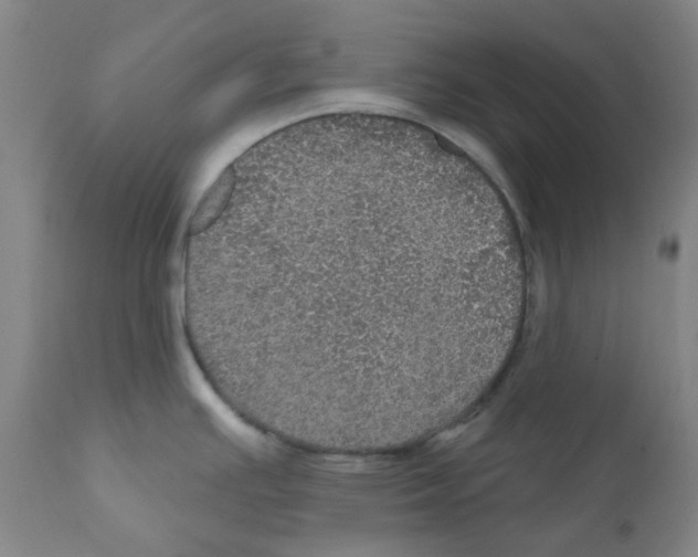 X0000112161391200909181437