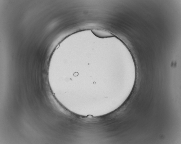 X0000112161392200909181437