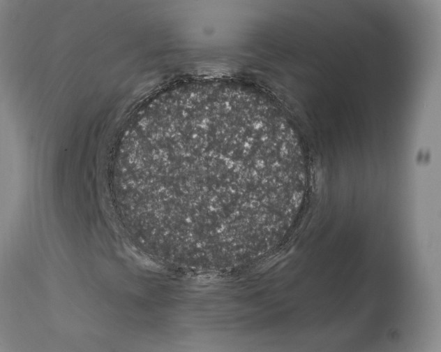 X0000112161393200909181436