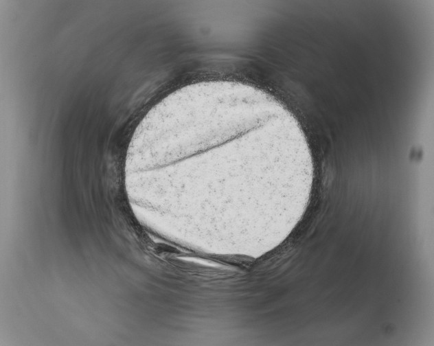X0000112161394200909181436