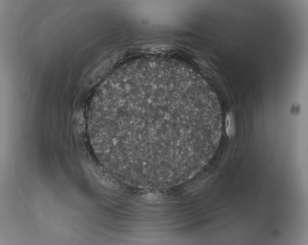 X0000112161395200909181436
