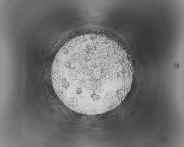 X0000112161397200909181436