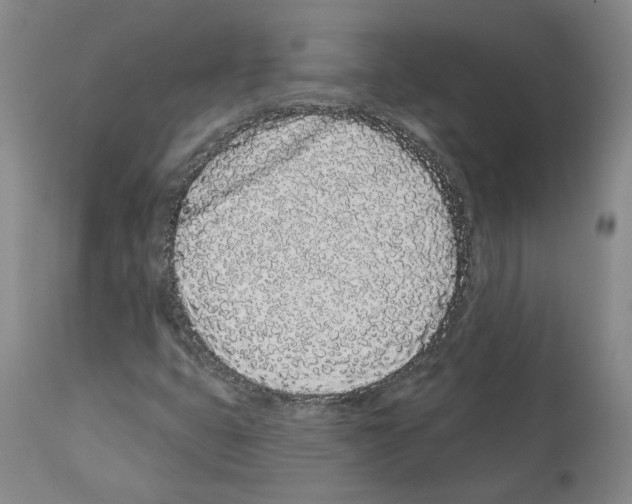 X0000112161399200909181436