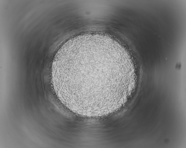 X0000112161401200909181436